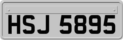 HSJ5895