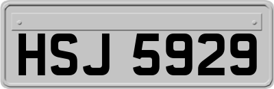 HSJ5929