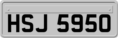 HSJ5950
