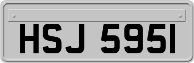 HSJ5951
