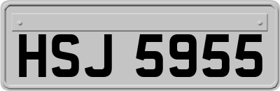 HSJ5955