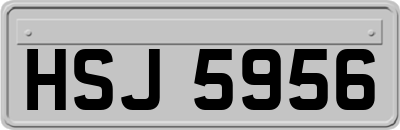HSJ5956