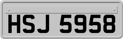 HSJ5958