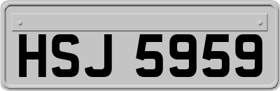 HSJ5959