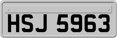 HSJ5963