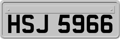 HSJ5966