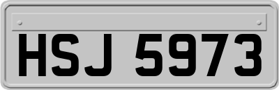 HSJ5973
