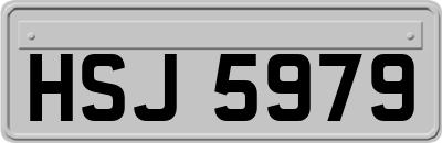 HSJ5979