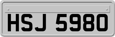 HSJ5980
