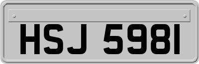 HSJ5981