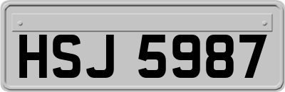 HSJ5987