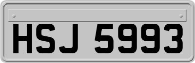 HSJ5993