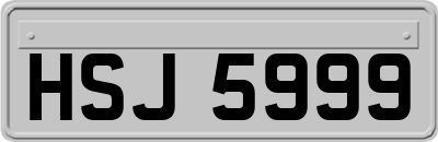 HSJ5999