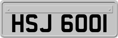 HSJ6001