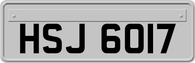 HSJ6017