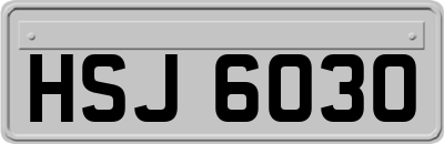 HSJ6030