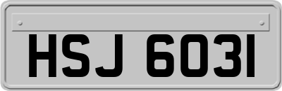 HSJ6031