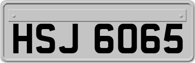 HSJ6065