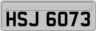 HSJ6073