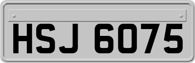 HSJ6075
