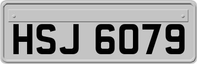 HSJ6079