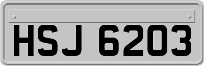 HSJ6203