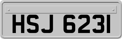 HSJ6231