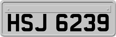 HSJ6239