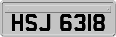 HSJ6318