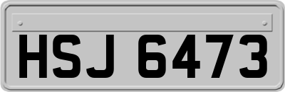 HSJ6473