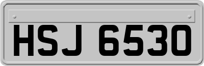 HSJ6530