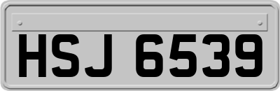 HSJ6539
