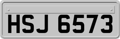 HSJ6573