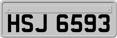 HSJ6593