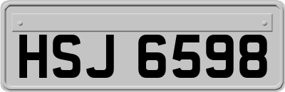 HSJ6598
