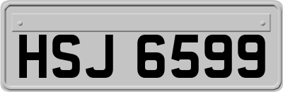 HSJ6599