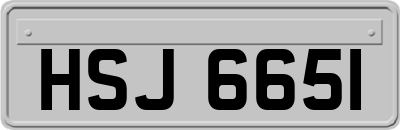HSJ6651