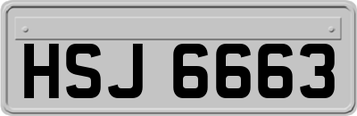 HSJ6663