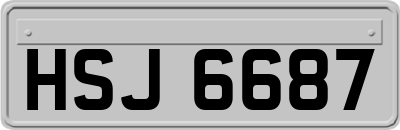 HSJ6687