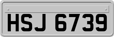 HSJ6739