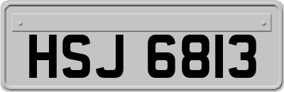 HSJ6813