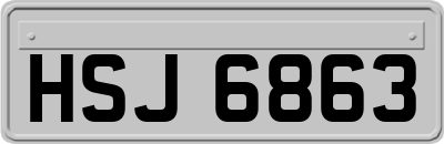 HSJ6863