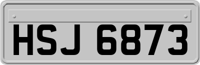 HSJ6873