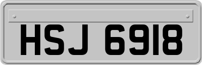 HSJ6918