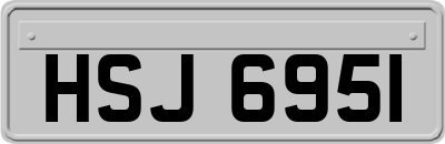 HSJ6951