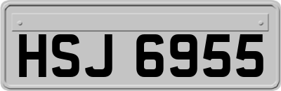 HSJ6955