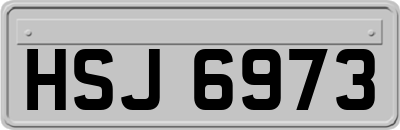 HSJ6973