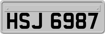 HSJ6987