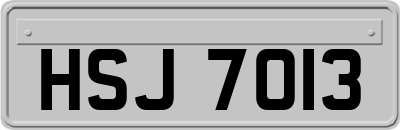 HSJ7013