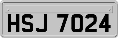 HSJ7024